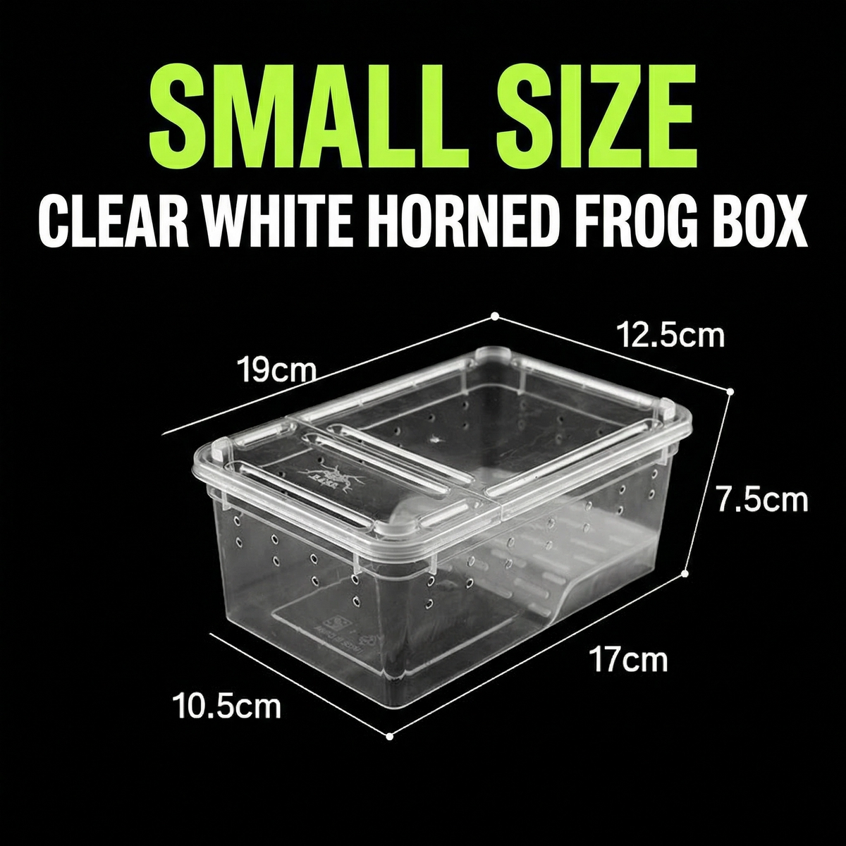 Small clear plastic horned frog enclosure with ventilation holes, labelled dimensions 19x12.5x10.5cm.